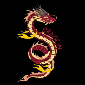 Legendary Dragon Art T Shirt Design